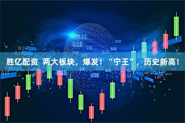 胜亿配资  两大板块，爆发！“宁王”，历史新高！