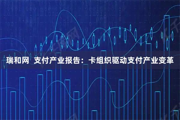瑞和网  支付产业报告：卡组织驱动支付产业变革