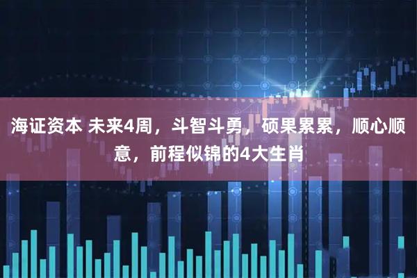 海证资本 未来4周，斗智斗勇，硕果累累，顺心顺意，前程似锦的4大生肖