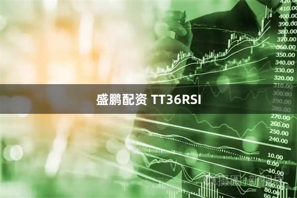 盛鹏配资 TT36RSI