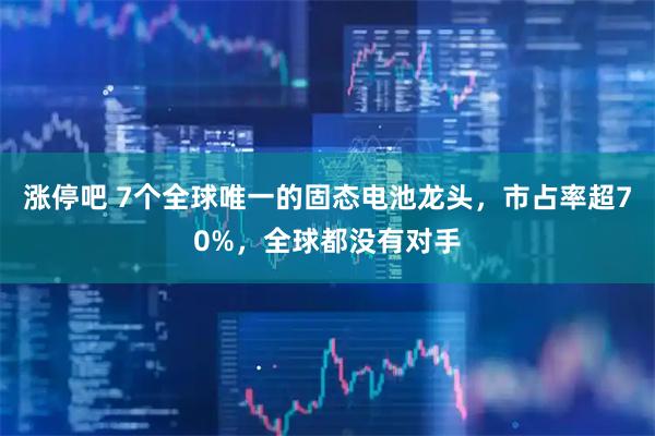 涨停吧 7个全球唯一的固态电池龙头，市占率超70%，全球都没有对手