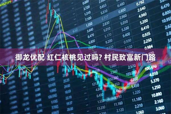 御龙优配 红仁核桃见过吗? 村民致富新门路