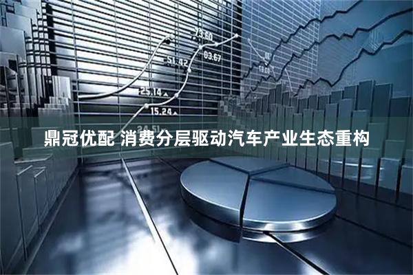 鼎冠优配 消费分层驱动汽车产业生态重构