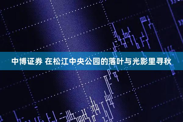 中博证券 在松江中央公园的落叶与光影里寻秋