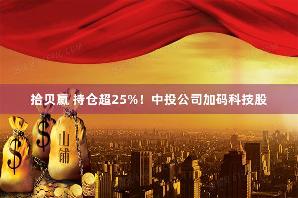 拾贝赢 持仓超25%！中投公司加码科技股